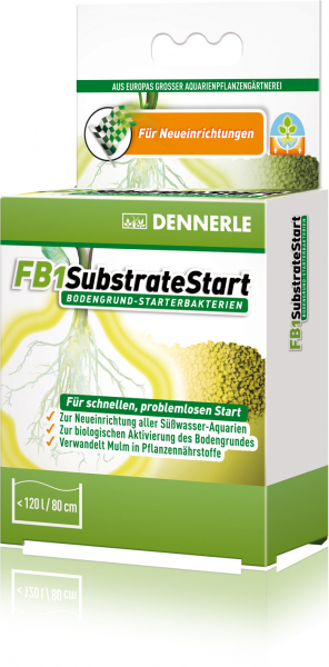 DENNERLE FB1 SubstrateStart